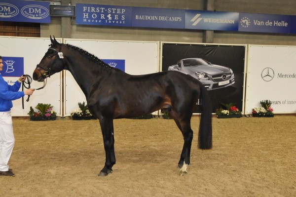 Best of Nec M-G C Leuze