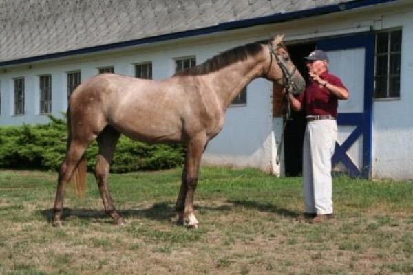 Gemini (kloon van Gem Twist xx)