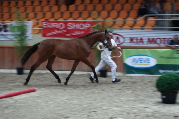 Leila van de Herthoek: 2de vrouw. jaarlingen (Canadian River)