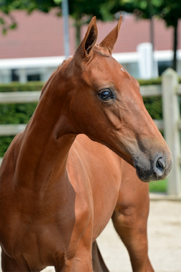 Never Stop van de Watertoren