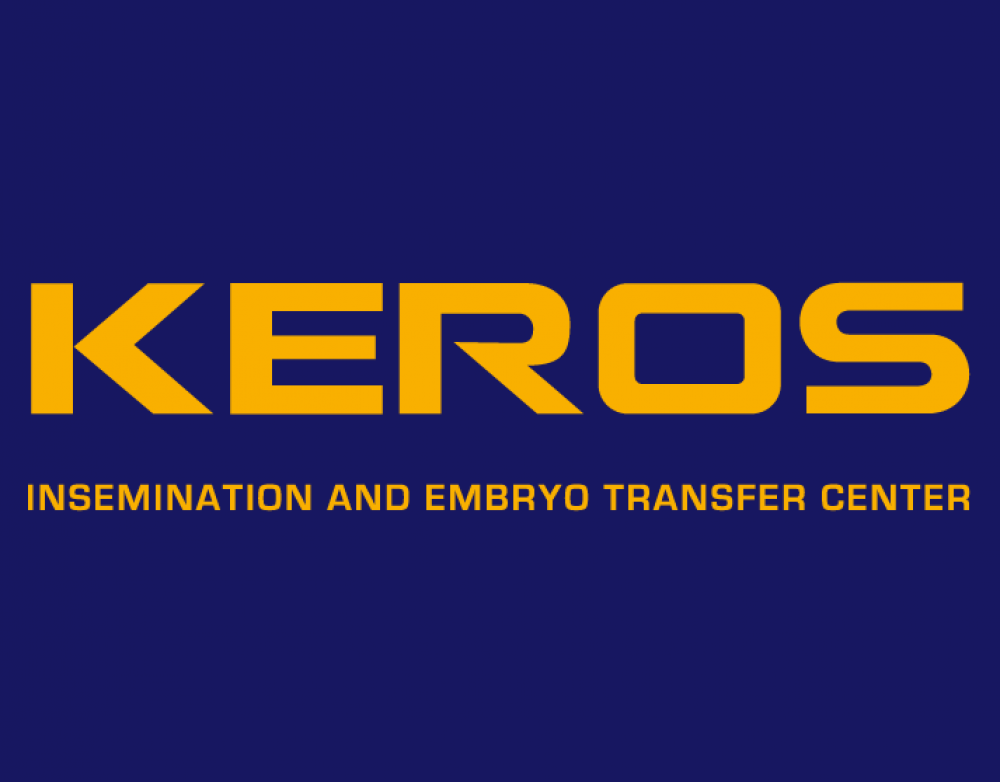 Afstammelingen van Keros-hengsten tijdens jumping Lummen CSIO