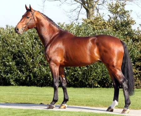 Eldorado van de Zeshoek