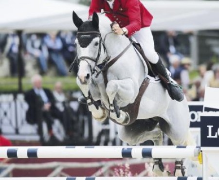 Toscan de Sainte Hermelle